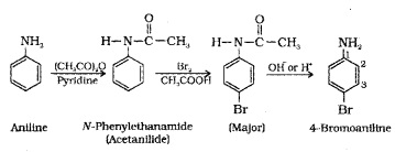 Plus Two Chemistry Notes Chapter 13 Amines 19