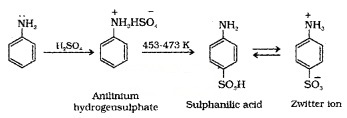 Plus Two Chemistry Notes Chapter 13 Amines 22