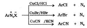 Plus Two Chemistry Notes Chapter 13 Amines 25