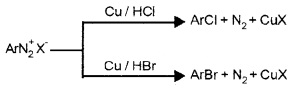 Plus Two Chemistry Notes Chapter 13 Amines 26