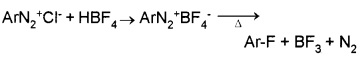 Plus Two Chemistry Notes Chapter 13 Amines 27