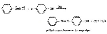 Plus Two Chemistry Notes Chapter 13 Amines 31