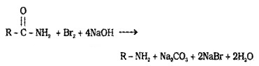 Plus Two Chemistry Notes Chapter 13 Amines 6