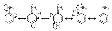 Plus Two Chemistry Notes Chapter 13 Amines 9