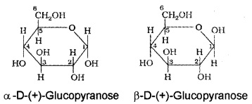 Plus Two Chemistry Notes Chapter 14 Biomolecules 10