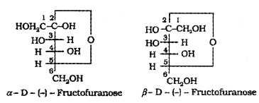 Plus Two Chemistry Notes Chapter 14 Biomolecules 12