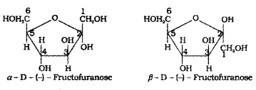 Plus Two Chemistry Notes Chapter 14 Biomolecules 13