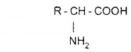 Plus Two Chemistry Notes Chapter 14 Biomolecules 14