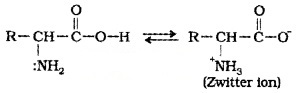 Plus Two Chemistry Notes Chapter 14 Biomolecules 15