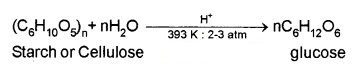 Plus Two Chemistry Notes Chapter 14 Biomolecules 2