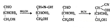 Plus Two Chemistry Notes Chapter 14 Biomolecules 4