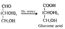 Plus Two Chemistry Notes Chapter 14 Biomolecules 5