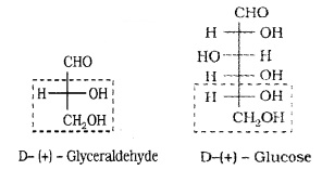 Plus Two Chemistry Notes Chapter 14 Biomolecules 8