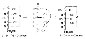 Plus Two Chemistry Notes Chapter 14 Biomolecules 9