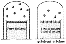 Plus Two Chemistry Notes Chapter 2 Solutions 11