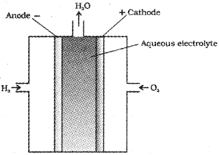 Plus Two Chemistry Notes Chapter 3 Electrochemistry 18