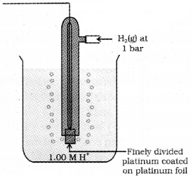 Plus Two Chemistry Notes Chapter 3 Electrochemistry 2