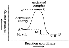 Plus Two Chemistry Notes Chapter 4 Chemical Kinetics 11