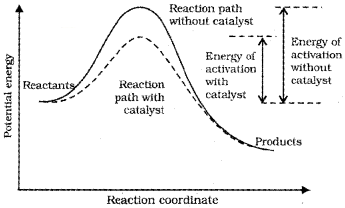 Plus Two Chemistry Notes Chapter 4 Chemical Kinetics 15