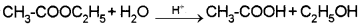 Plus Two Chemistry Notes Chapter 4 Chemical Kinetics 9