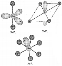 Plus Two Chemistry Notes Chapter 7 The p Block Elements 22