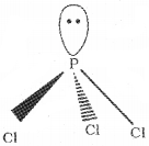 Plus Two Chemistry Notes Chapter 7 The p Block Elements 7