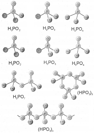 Plus Two Chemistry Notes Chapter 7 The p Block Elements 9