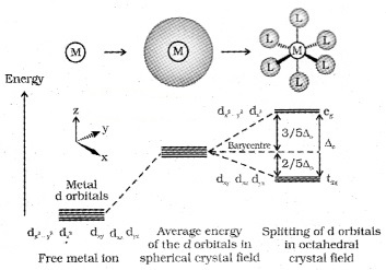 Plus Two Chemistry Notes Chapter 9 Coordination Compounds 8