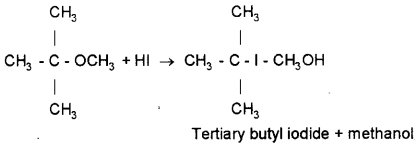 Plus Two Chemistry Previous Year Question Paper March 2019, 11