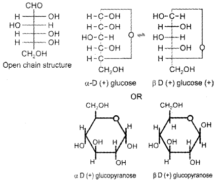 Plus Two Chemistry Previous Year Question Paper March 2019, 14