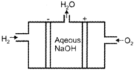 Plus Two Chemistry Previous Year Question Paper March 2019, 20