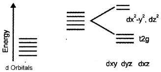 Plus Two Chemistry Previous Year Question Paper March 2019, 21