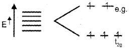 Plus Two Chemistry Previous Year Question Paper March 2019, 22