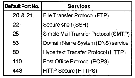 Plus Two Computer Application Notes Chapter 4 Web Technology 1