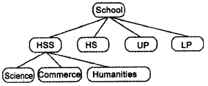 Plus Two Computer Science Chapter Wise Questions and Answers Chapter 2 Concepts of Object-Oriented Programming 2M Q14