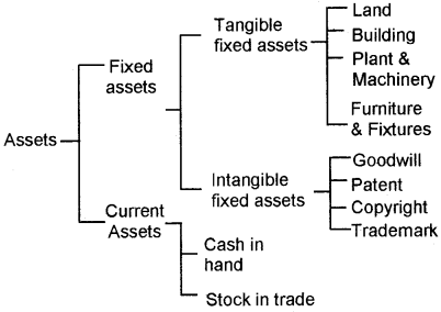 Plus Two Computerised Accounting Chapter Wise Questions and Answers Chapter 1 Overview of Computerised Accounting System 4M Q1