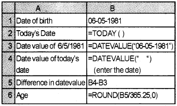 Plus Two Computerised Accounting Chapter Wise Questions and Answers Chapter 2 Spread Sheet Lab Questions Q15