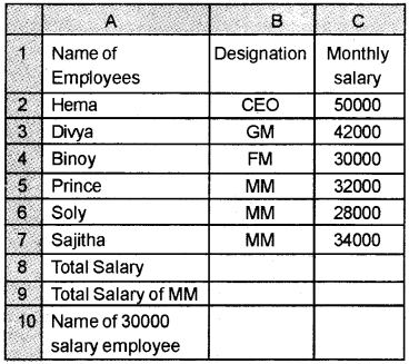 Plus Two Computerised Accounting Chapter Wise Questions and Answers Chapter 2 Spread Sheet Lab Questions Q5.1