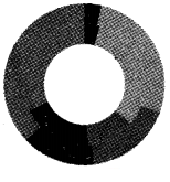 Plus Two Computerised Accounting Chapter Wise Questions and Answers Chapter 4 Graphs and Charts for Business Data 2M Q12