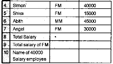 Plus Two Computerized Accounting Practical Question Paper March 2019, 3