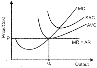 Plus Two Economics Previous Year Queation Paper March 2019, 17