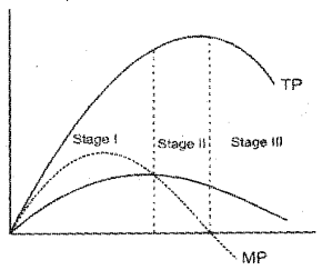 Plus Two Economics Previous Year Question Paper March 2018, 13