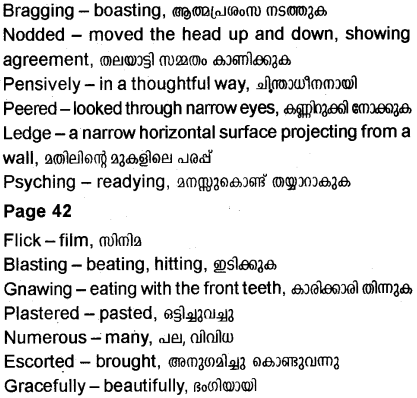 Plus Two English Textbook Answers Unit 2 Chapter 2 Amigo Brothers (Story) 13