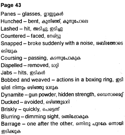 Plus Two English Textbook Answers Unit 2 Chapter 2 Amigo Brothers (Story) 14