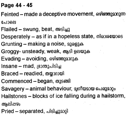 Plus Two English Textbook Answers Unit 2 Chapter 2 Amigo Brothers (Story) 15