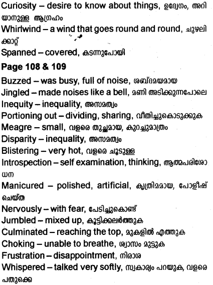 Plus Two English Textbook Answers Unit 3 Chapter 2 Didi (Story) 10