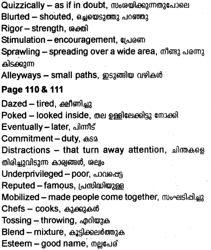 Plus Two English Textbook Answers Unit 3 Chapter 2 Didi (Story) 11