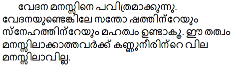 Plus Two Hind Textbook Answers Unit 3 Chapter 4 हाइकू (कविता) 22