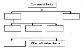 Plus Two Macroeconomics Chapter Wise Previous Questions Chapter 3 Money and Banking 1