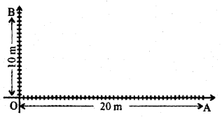 Plus Two Maths Previous Year Question Paper March 2019, 29